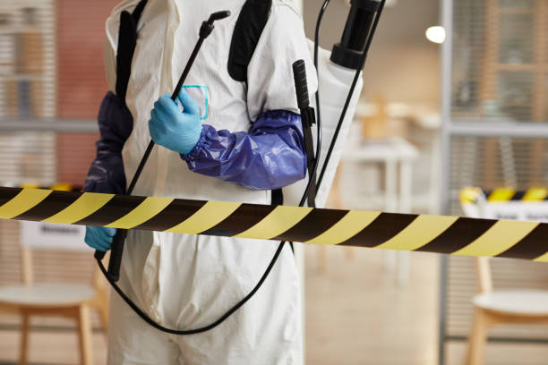 Professional Sewage Cleanup technician working in Edgewater, NJ